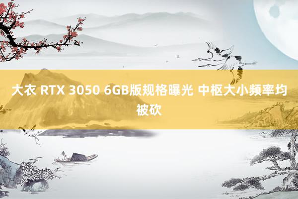 大衣 RTX 3050 6GB版规格曝光 中枢大小频率均被砍