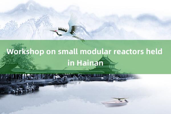 Workshop on small modular reactors held in Hainan
